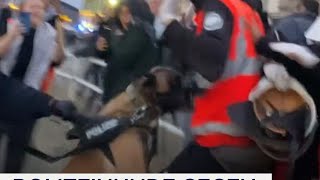 Polizeihunde gegen GazaAktivisten in Berlin [upl. by Ahsiekat261]