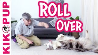 Dog Trick Training Roll Over [upl. by Averil]