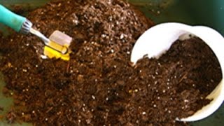 How to revitalize and reuse potting soil [upl. by Nitz]