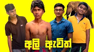 අලි ඇවිත් elephant attackFunny Video Sinhala comedy  Sinhala Jokes [upl. by Ynney]