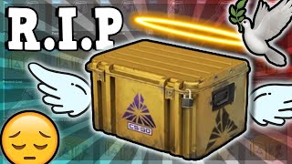 The Fracture Case is DEAD 💀 CS2 Case Opening [upl. by Nnylcaj233]