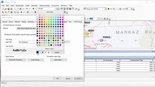 ArcGIS Label Features [upl. by Aloise290]
