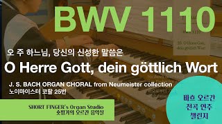 JS BACH Neumeister 25 BWV 1110 O Herre Gott dein göttlich Wort당신의 신성한 말씀 Hauptwerk Düren Germany [upl. by Irek]