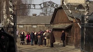 Holocaust survivors walk through Auschwitz [upl. by Grussing905]