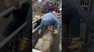 MOROCO DE PÁTZCUARO VS G63 EL PATAS DE PLOMO MOROCO DE PÁTZCUARO RANCHO EL AGUAJE SALINAS CALIFORNIA [upl. by Killoran836]