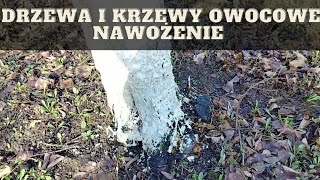 Jak nawozić drzewa i krzewy owocowe wiosną [upl. by Snoddy]