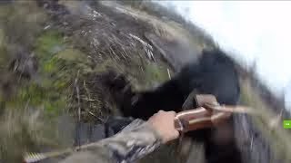 SCARY FOOTAGE Bear VS Hunter [upl. by Burch438]