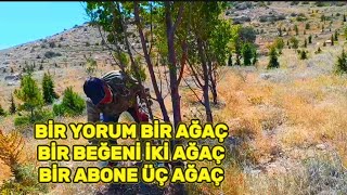 BİR AĞAÇ BİR İNSAN DOĞAYA SAHİP ÇIK GELECEĞE NEFES OLSUN [upl. by Anitnelav]