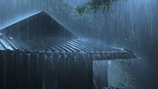 Overcome Stress to Sleep Instantly with Heavy Rain amp Paramount Thunder Sounds on a Tin Roof at Night [upl. by Leohcin]