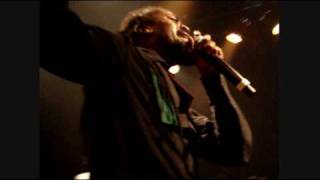 Beenie Man Live 2009 Bruxelles The girls dem sugar amp feel it boy [upl. by Alarice]