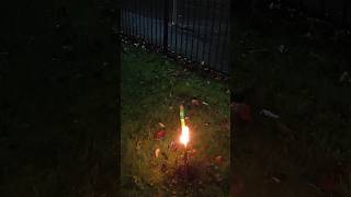 A Firework Rocket SNAPS IN HALF When Lit 😱🎇 firework fireworkdisplay funny [upl. by Enialem]