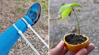 12 Simple Gardening Tips and Tricks [upl. by Fonzie682]