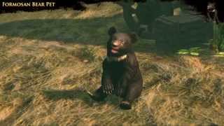 Path of Exile  Formosan Bear Pet [upl. by Umeh]