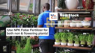 Do you fertilize your plants we restocked our famous NPk fertilizer [upl. by Thorny]