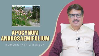 APOCYNUM ANDROSAEMIFOLIUM  HOMOEOPATHIC REMEDY  EXP BY DR K A LONGANI MD HOM LONGANI CLINICS [upl. by Afatsum]