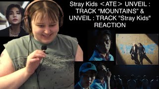 Stray Kids ATE UNVEIL  TRACK “MOUNTAINS” amp UNVEIL TRACK “Stray Kids” REACTION [upl. by Kos]