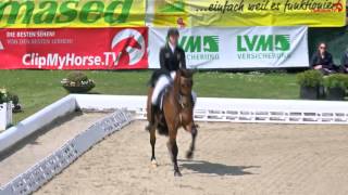 Horses amp Dreams Sönke Rothenberger amp Cosmo • CDI4 Grand Prix de Dressage [upl. by Thant748]