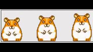 Hamster Song original [upl. by Jason]