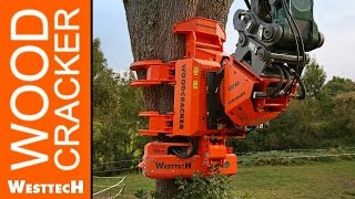 Greifersäge WOODCRACKER CS  Best of 2016 [upl. by Frechette]