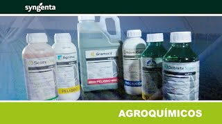 SYNGENTA DE VENTA EN AGROBOLDER [upl. by Carnay]