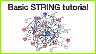 Basic STRING tutorial Protein query network views query parameters and enrichment visualization [upl. by Brittan]