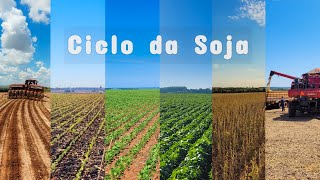 Ciclo da Soja  Do Plantio à Colheita [upl. by Otreblig]