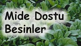 Mide Dostu Besinler [upl. by Addi]