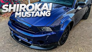 Renees Shirokai Mustang Kit Install [upl. by Wentworth]