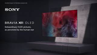 Sony BRAVIA XR OLED A80J [upl. by Pearlstein820]