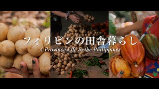 Province Life in the Philippines  Harvest and Market ENG SUB [upl. by Nur416]