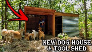 The Crockers Off Grid Tiny House amp Property Makeover  Day 4 [upl. by Carn613]