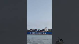 cosco shipping ⚓🚢shortvideo ship port [upl. by Riegel]