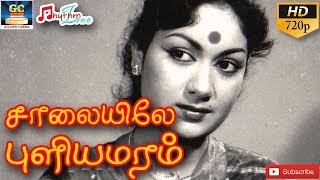 சாலையிலே புளியமரம்  முழு பாடல்  Salaiyile Puliyamaram  Full Video Song  Savitri  HD [upl. by Gaultiero]