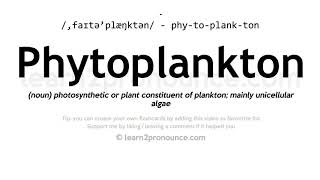 Pronunciation of Phytoplankton  Definition of Phytoplankton [upl. by Engud173]