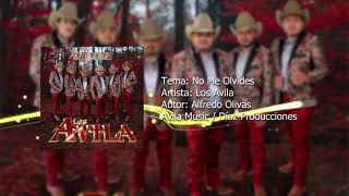 Los Avila  No Me Olvides Estudio 2021 [upl. by Patin]