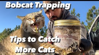 Bobcat Trapping  Pro Tips to Catch More Cats [upl. by Kinna]