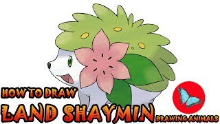 How To Draw Land Shaymin Pokemon  Drawing Animals [upl. by Latsyrhk416]