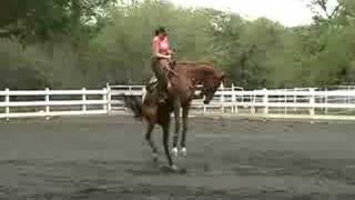 Bucking Horse with Female Rider [upl. by Lyford]