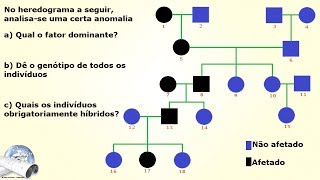 Exercício Biologia  Genética 01 [upl. by Tarah]