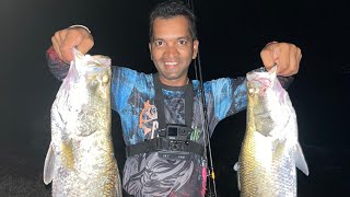 Night fishing catch by barramundi fish Vaibhavchavan08 [upl. by Eenwat]