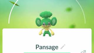 Pokemon GO Pansage Pokedex 360 Degree View [upl. by Aynekal426]