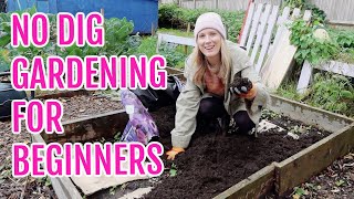 NO DIG GARDENING FOR ABSOLUTE BEGINNERS [upl. by Hamforrd]