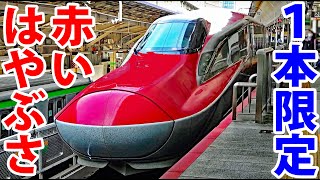 【１日１本】東北新幹線の赤い「はやぶさ」 東京→仙台 グリーン車に乗車！ [upl. by Atiuqal]