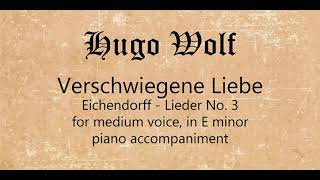 Verschwiegene Liebe for medium voice piano accompaniment [upl. by Ellivnarg]