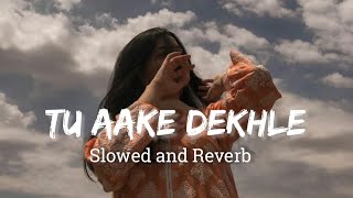 Tu Aake Dekhle  slowed  Reverb   King  Theslofiedits [upl. by Alekal788]