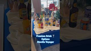 Tui Marella Cruises PREMIUM DRINKS PACKAGE 🍸 cruise shorts [upl. by Trow492]