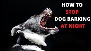 How Can You Stop Dog Barking at Night [upl. by Anallise]