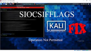 SIOCSIFFLAGS operation not permitted  Kali Linux error fix [upl. by Nahgeam911]