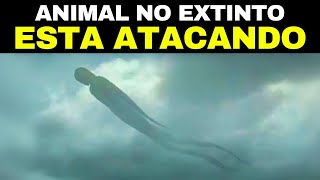 Animales Mortales Que Le Alegrará Saber Que Están Extintos [upl. by Meriel108]