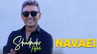 Shadmehr Aghili  Navaei شادمهر عقیلی  نوایی [upl. by Cheung]